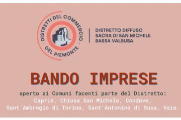 Distretto diffuso del commercio &quot;Sacra di San Michele bassa Valsusa&quot;- bando imprese