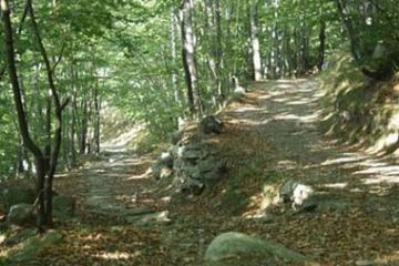 Borgata Bennale