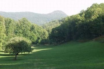Borgata Bennale